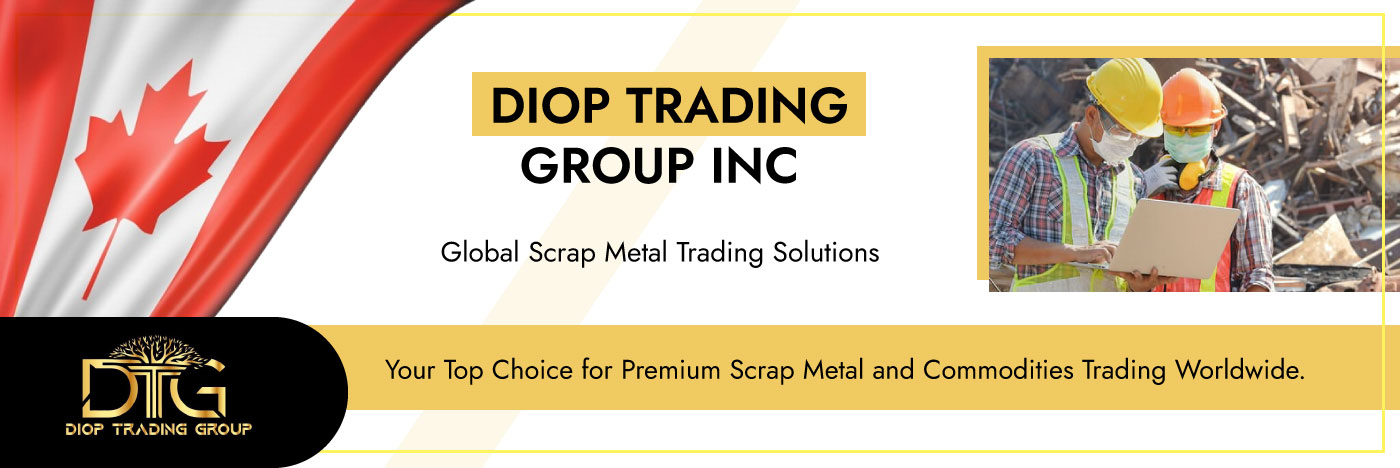 DIOP TRADING GROUP INC