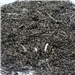 Weekly Supply of 250 Tons Tire Wire Scrap: Ready to Ship from USA to Asia Pacific